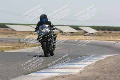 media/Jul-14-2024-Pacific Track Time (Sun) [[a68aef95ee]]/A and B Group/12pm (Wheelie Bump)/